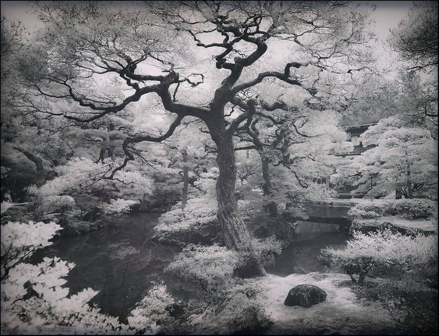 , Минаев Павел