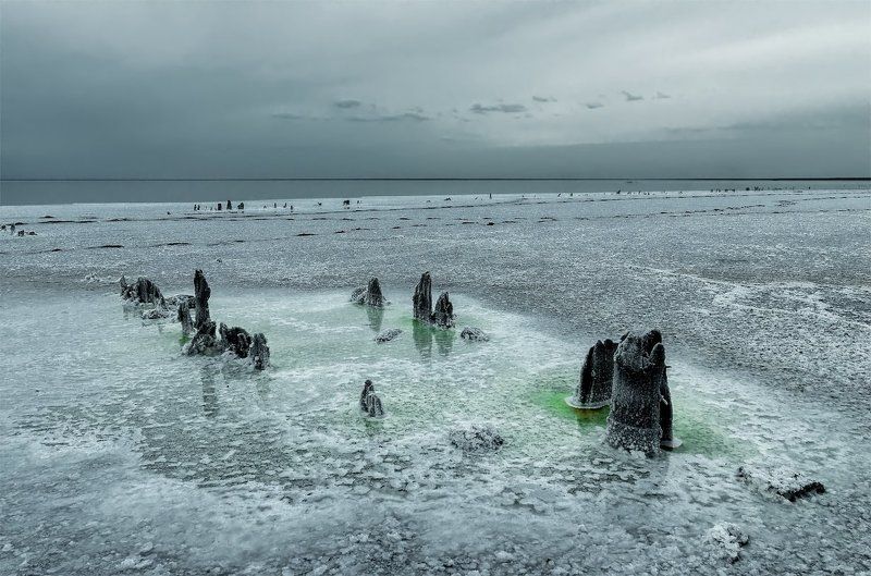 весна, озеро, пейзаж, природа, соль, эльтон Майphoto preview