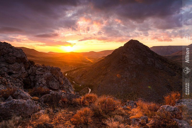 природа, казахстан, photosafari.kz Каратауphoto preview