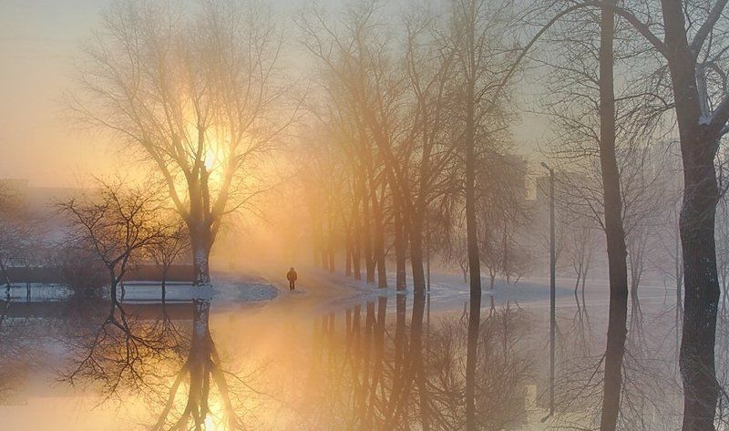 утро солннце свет вода ...к свету... *photo preview