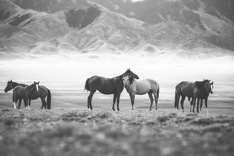 Граница Казахстана и Киргизииphoto preview