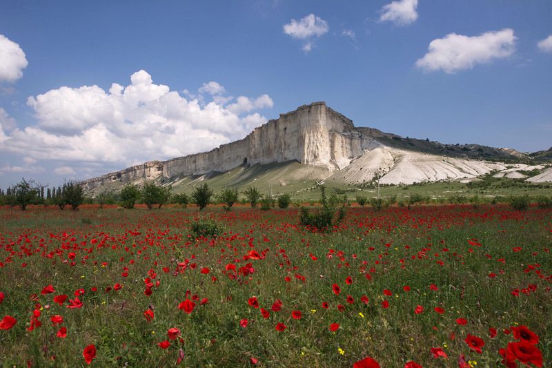 Патлакъ чанакъ . Ак-Кая  восхищала, наверное, всех, кто проезжал по долине Биюк-Карасу.photo preview