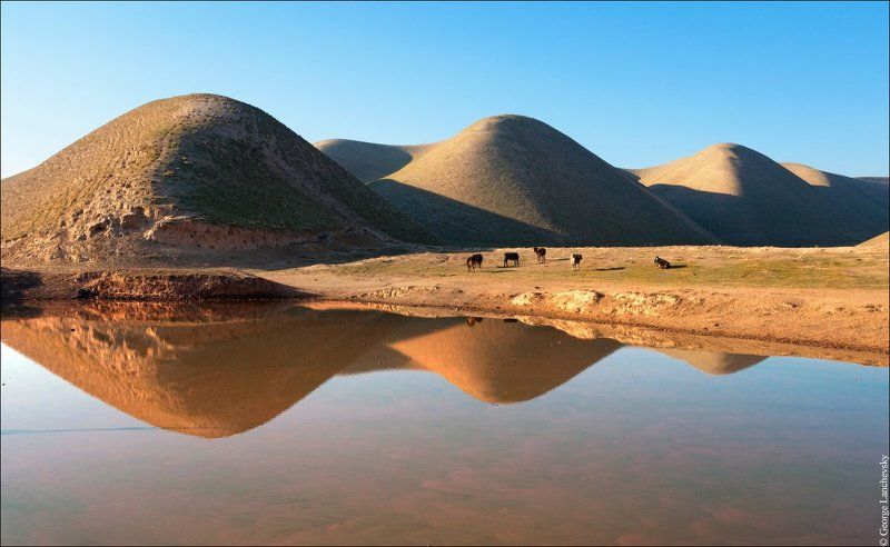 Холмы Таджикистанаphoto preview