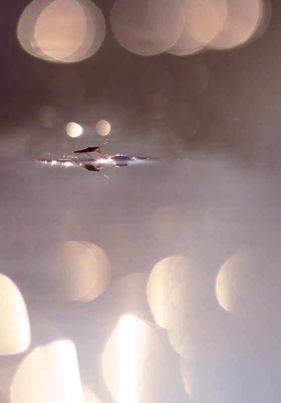 В облакахphoto preview