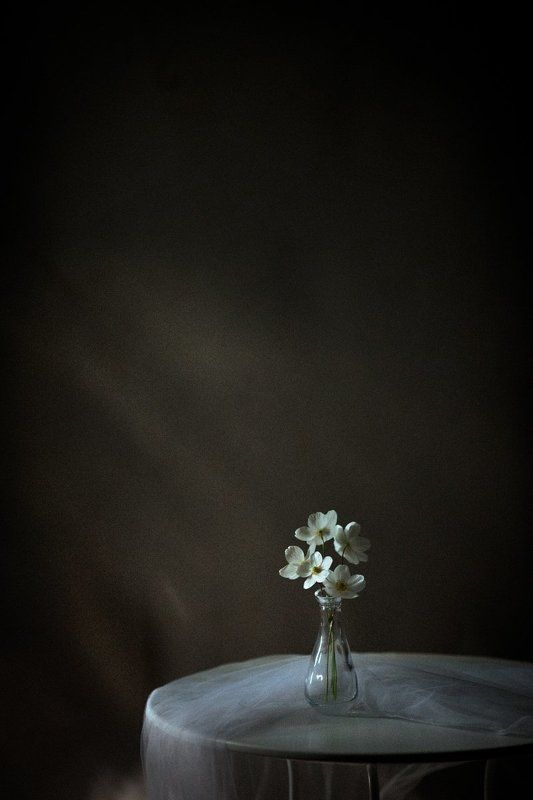 Натюрморт /* фото превью