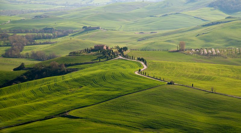 Evening Tuscanyphoto preview