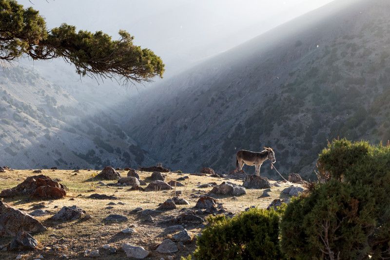 Утро в Фанахphoto preview