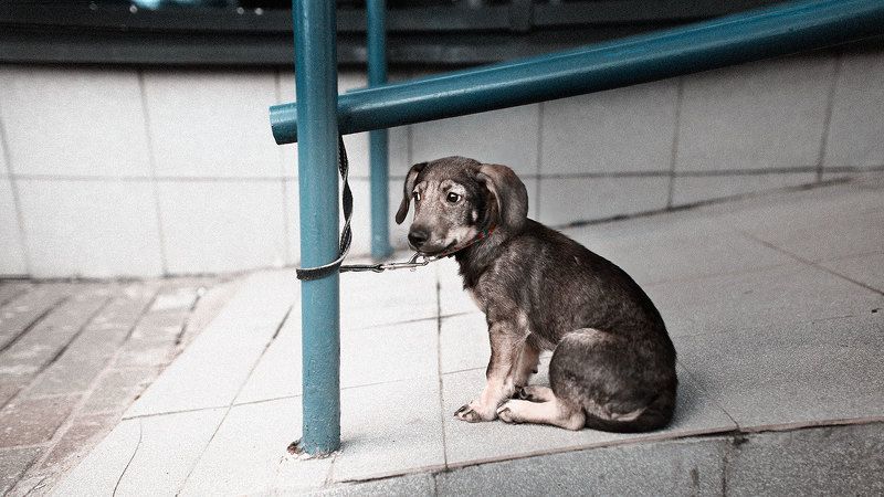 В ожиданииphoto preview