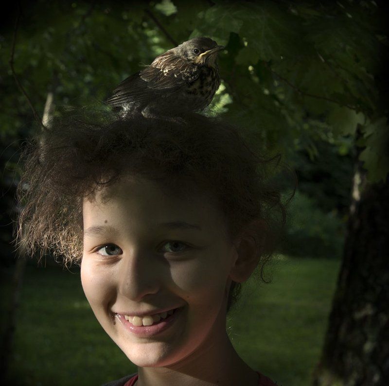 The Smiling Nest)photo preview