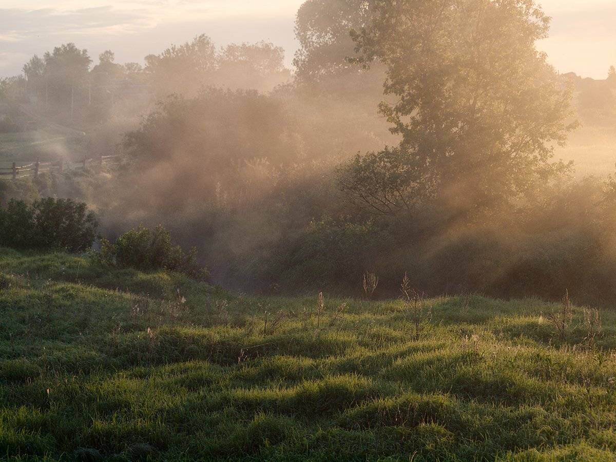 ***. Автор: Владимир Перепечаев , Владимир Перепечаев
