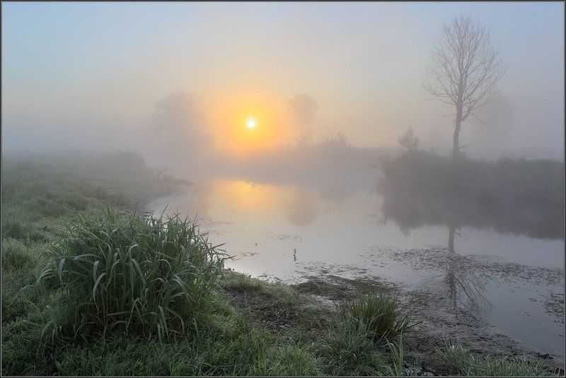 Туманный рассветphoto preview