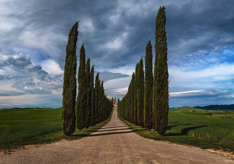 Italy, Tuscany, Италия, Тоскана Долгий путь домой.photo preview