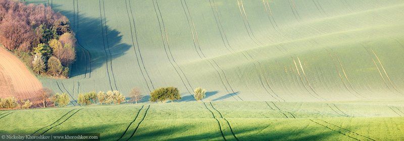 Южная Моравия, Чехия, Southern Moravia, Czech Republic, Миниатюрные деревьяphoto preview