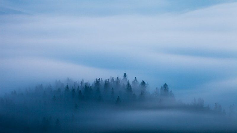 slovakia, light, morning, blue, fog, mist, mountains, spring, trees, flow, twilight, dawn, mood, atmosphere, landscape, nature Blue Velvetphoto preview
