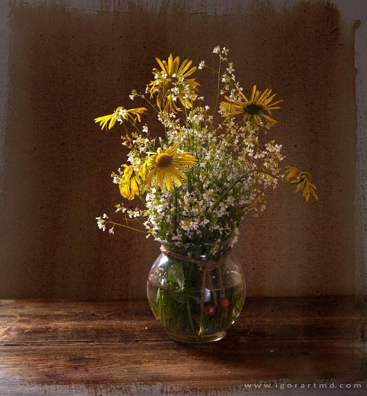 Wildlifephoto preview