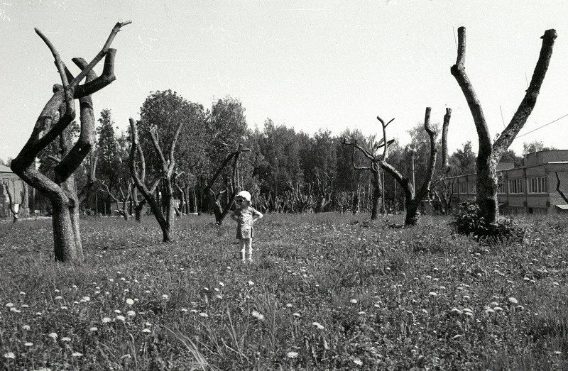 Цветокphoto preview