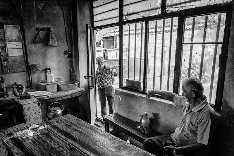 Animals, Black and white, Kindness Kindnessphoto preview