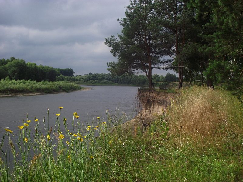 К Дню Фотографа ...photo preview