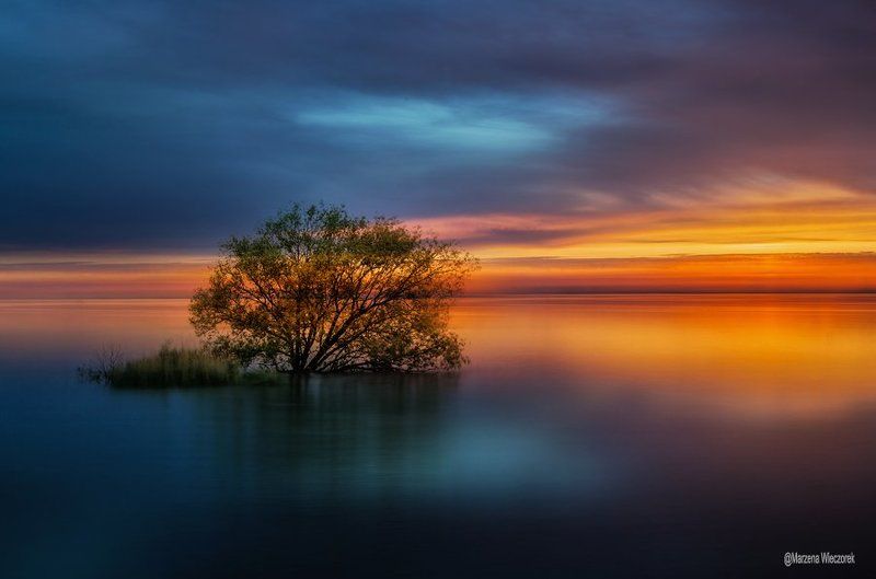 .................photo preview