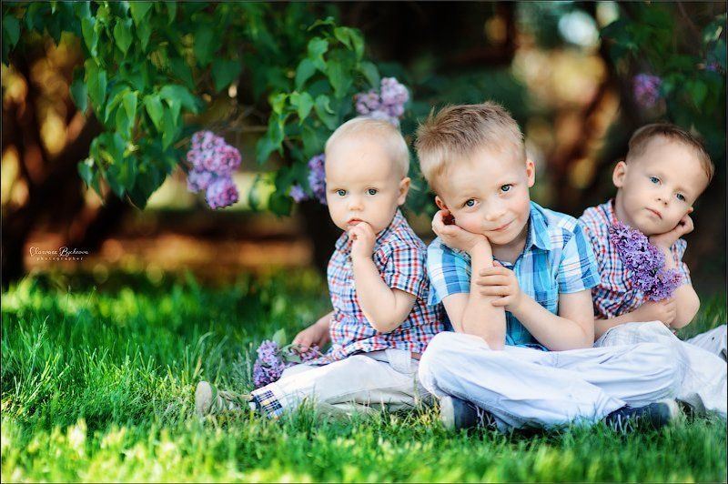 Сиреневые детиphoto preview