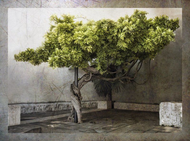 Танцы на шестеphoto preview