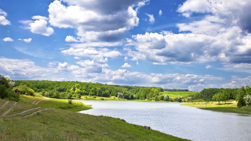 Forever Summerphoto preview