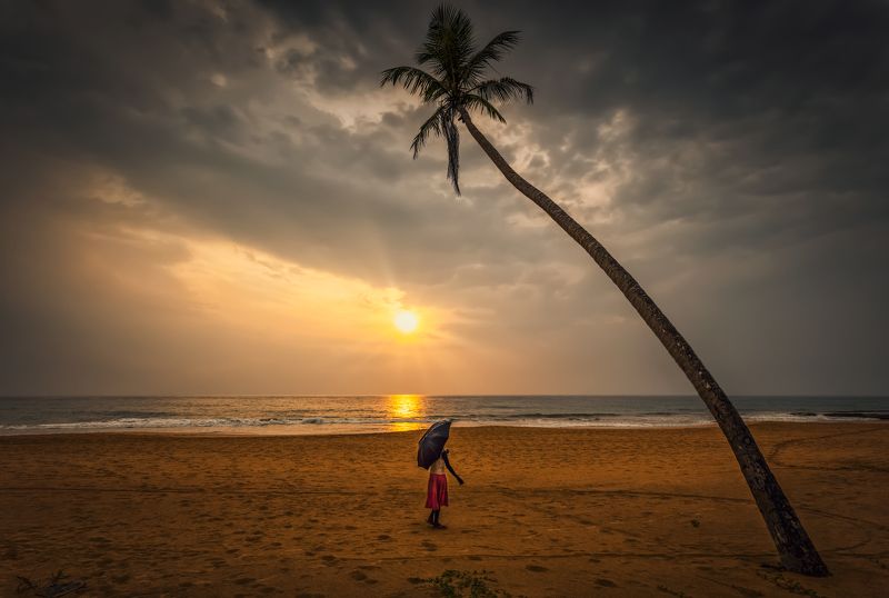 под пальмойphoto preview