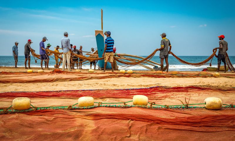 в сетяхphoto preview