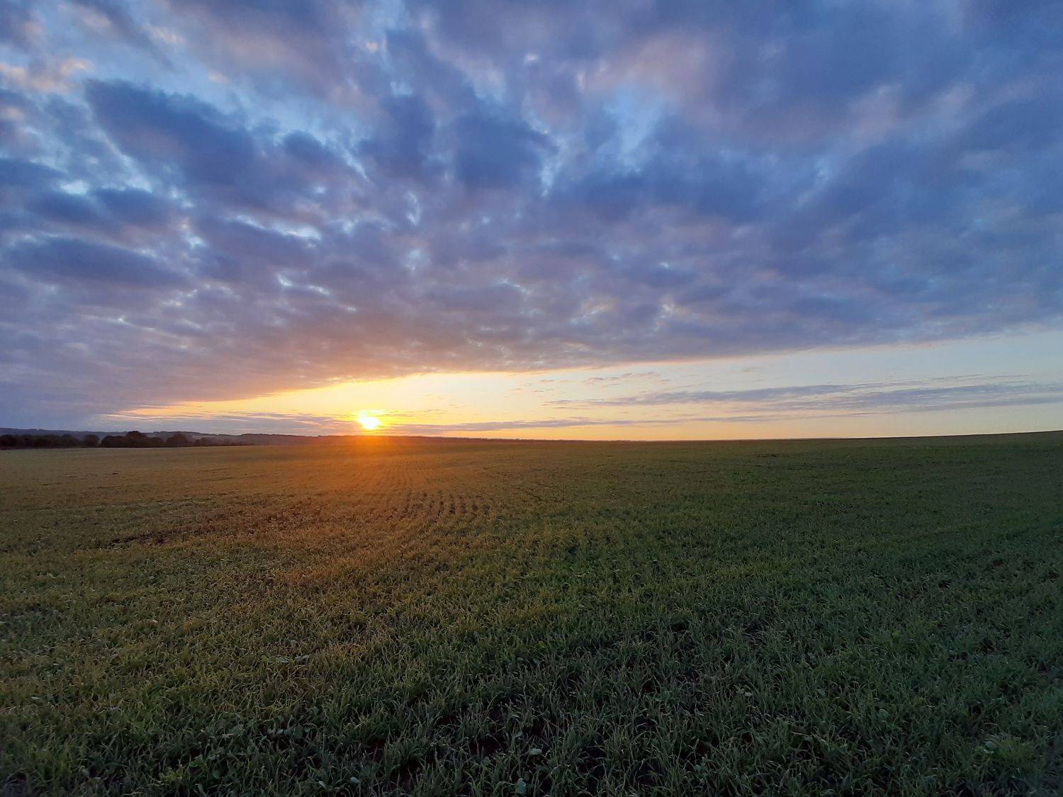 осень, пейзаж, поле, русское поле, рассвет, тульская область, сентябрь, мобильное фото,, Денис Щербак
