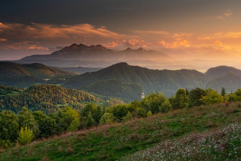 pieniny, tatry, poland, polska, tatras, sunset, sunlight, trees, forest, mountains, mountainscape, landscape, nikon, tamron, grass, clouds, sky Windy Sunsetphoto preview