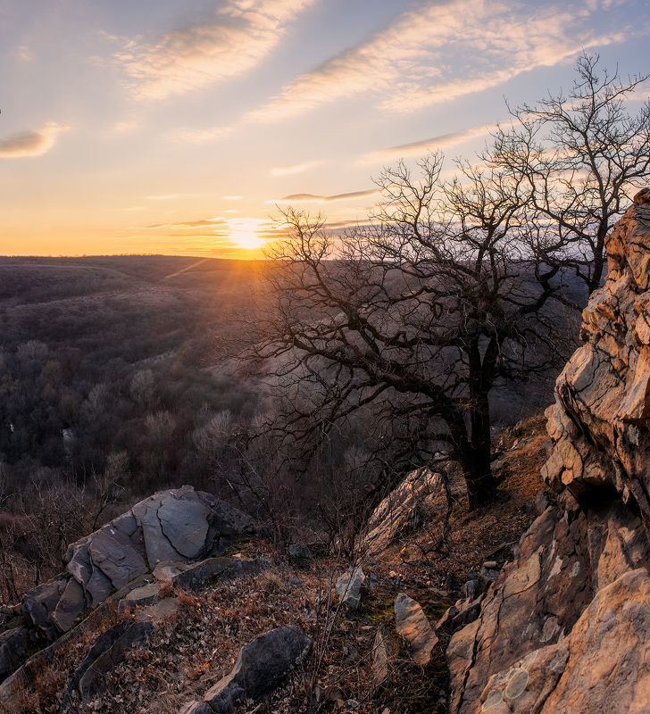 #ProDonbassSpringphoto preview