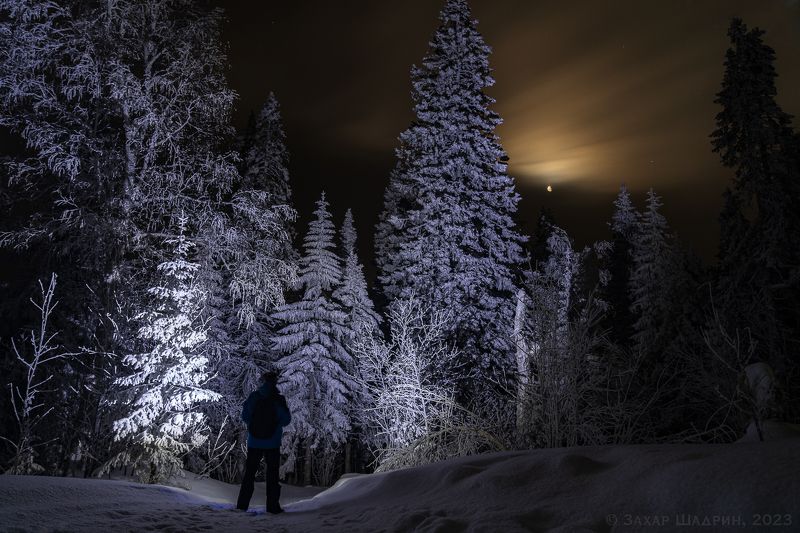 Ночные странникиphoto preview