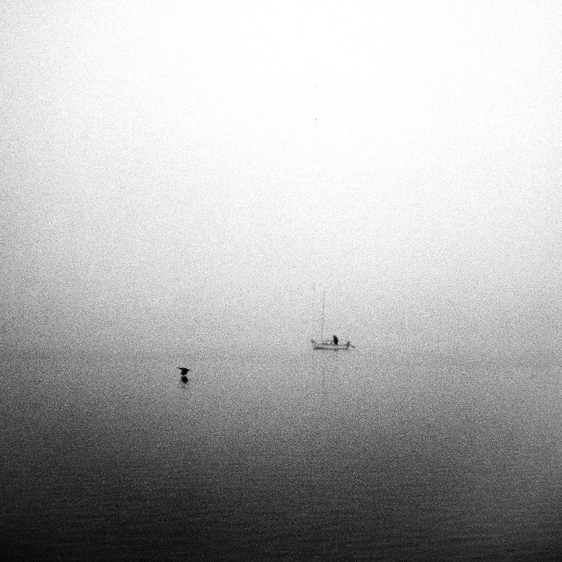 boat, bird, fog, sea,  Boat and birdphoto preview