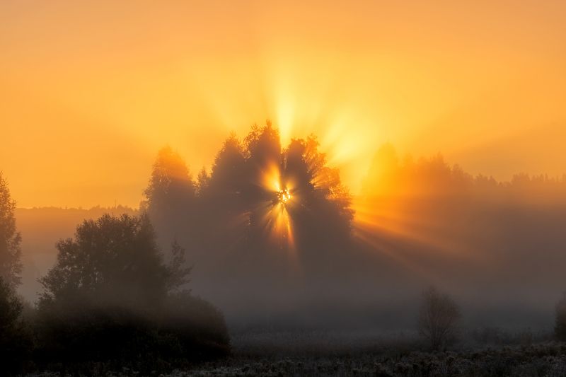 Утроphoto preview