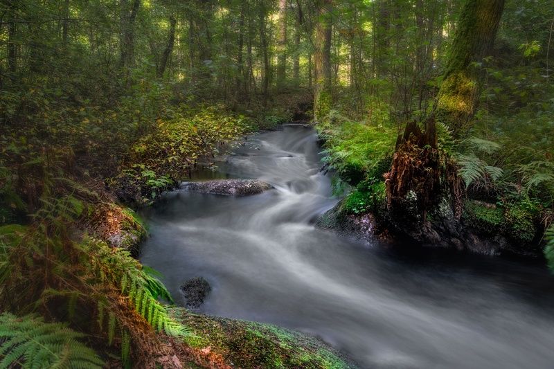 Ручей Быстрый в Зеленогорскеphoto preview