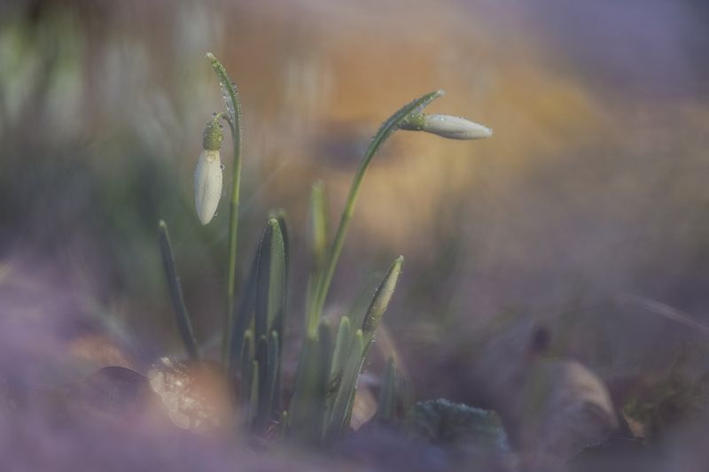 С праздником!!photo preview