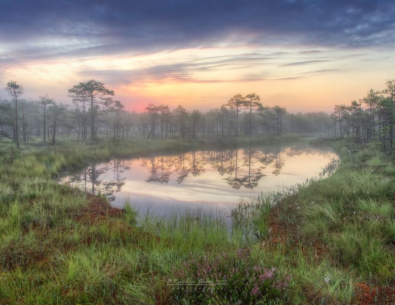 Болотные зарисовки...photo preview