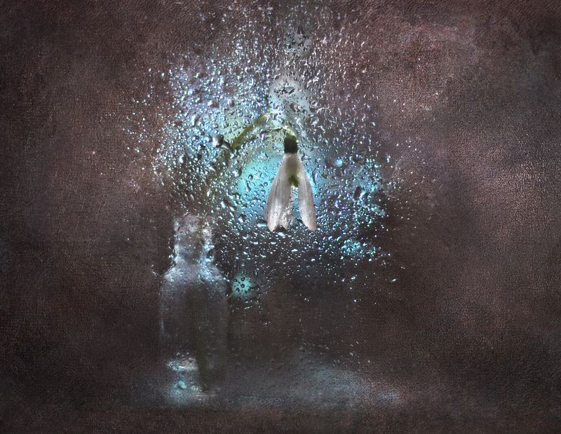 Звенящей нежности пораphoto preview