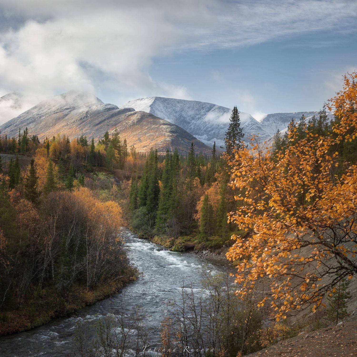 , Рунова Татьяна