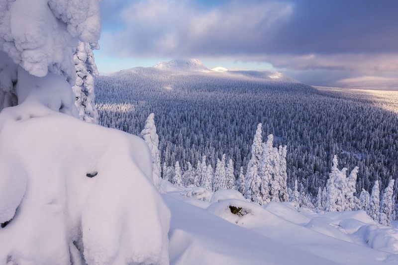 *******photo preview