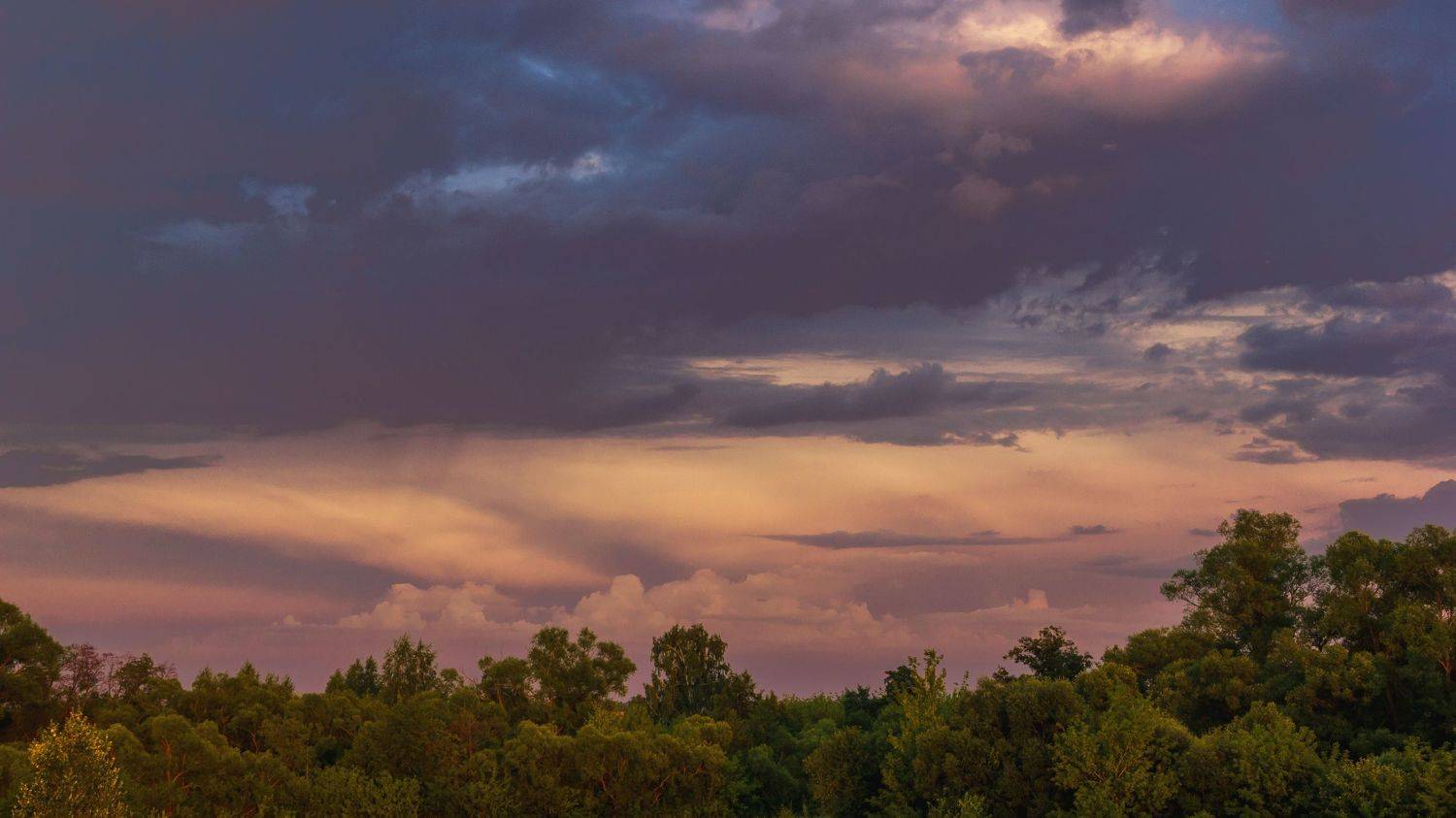 , Елисеев Александр