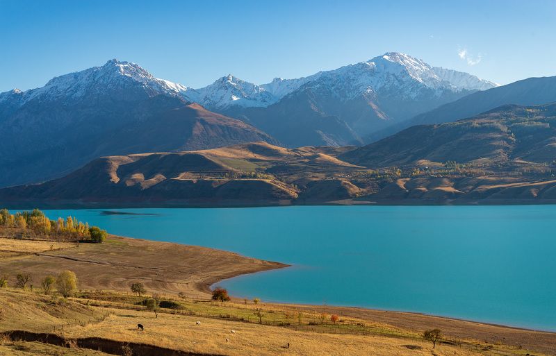 узбекистан, uzbekistan photo preview