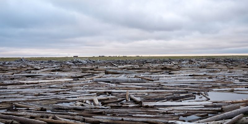 арктика, заполярье, карское море, север На берегу деревянной рекиphoto preview