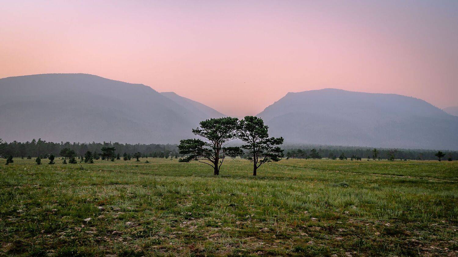 Притяжение. Автор: Васильев Андрей , Васильев Андрей