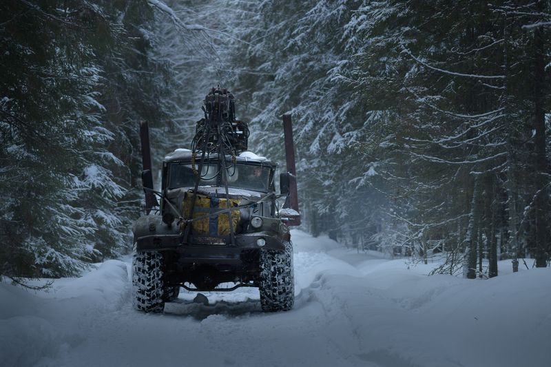 Попутчикphoto preview