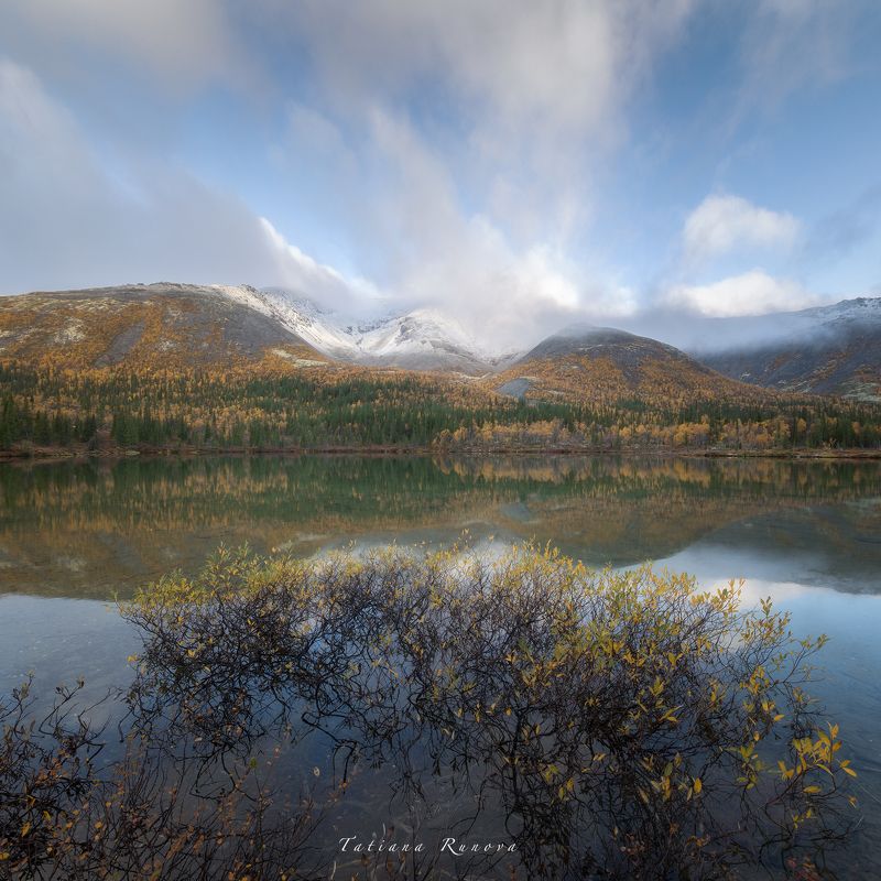 Нежное утроphoto preview