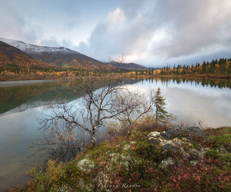 Нежное утроphoto preview