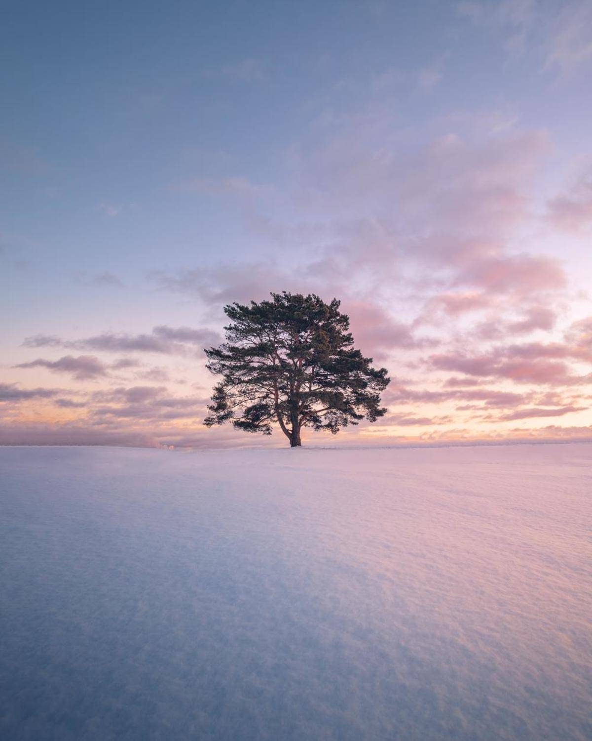 Лохин остров. Автор: Разум Митя , Разум Митя