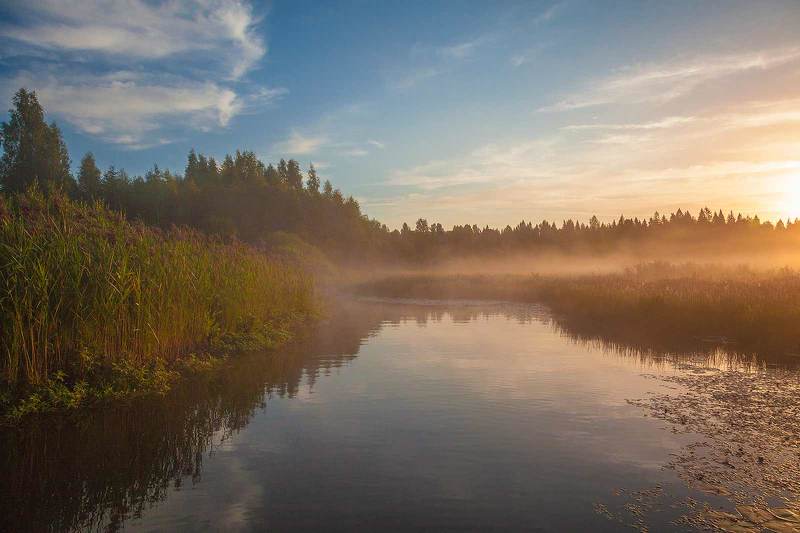 Утренняя рекаphoto preview