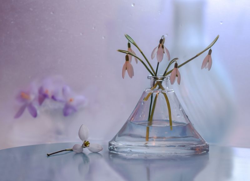 натюрморт,цветы,этюд,вазы,стекло,лепестки,подснежники,крокусы,весна,февраль, Первенцы весны.photo preview